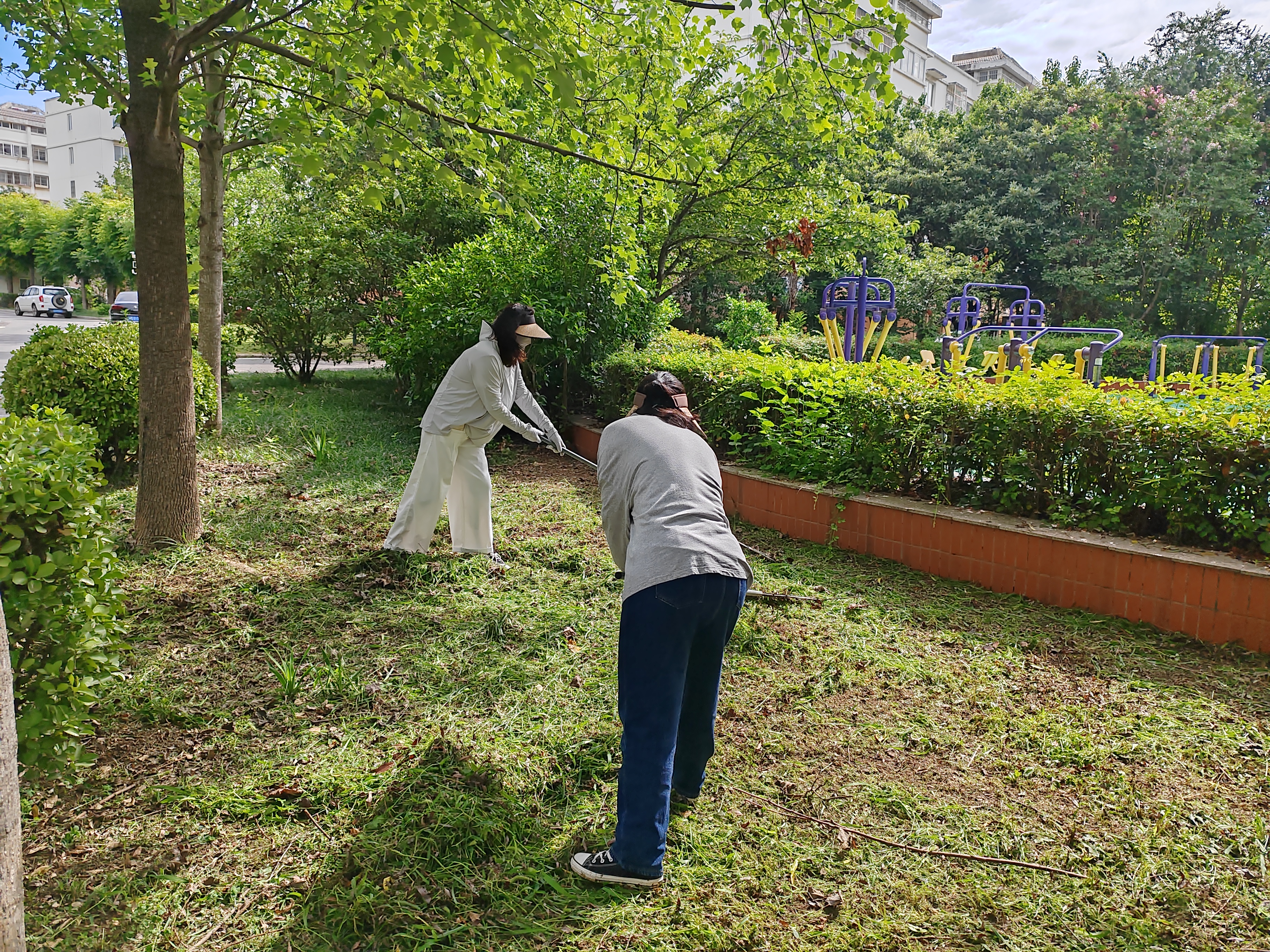 新光社區綠化除草.jpg